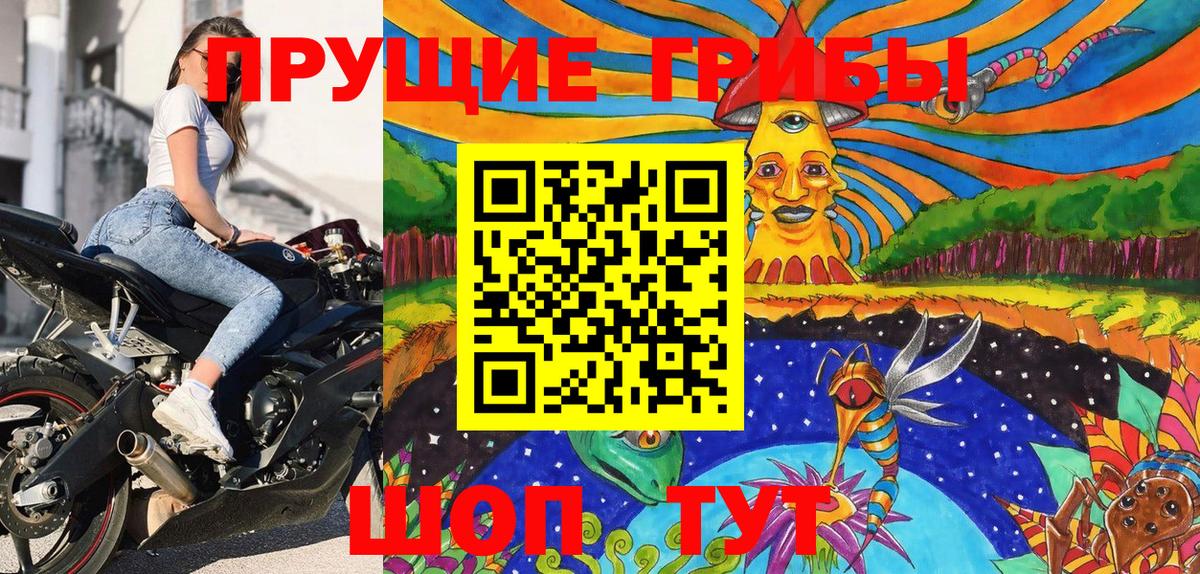 Псилоцибиновые грибы прущие грибы Пушкино