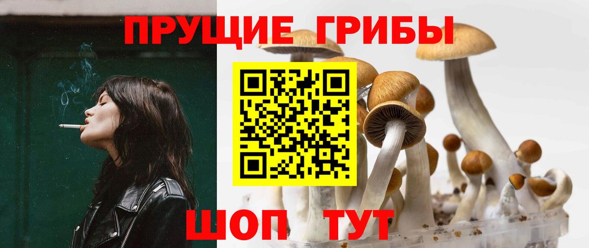 Псилоцибиновые грибы прущие грибы  купить наркотик  Пушкино  Вход с VPN 